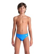 blue china-artic lime